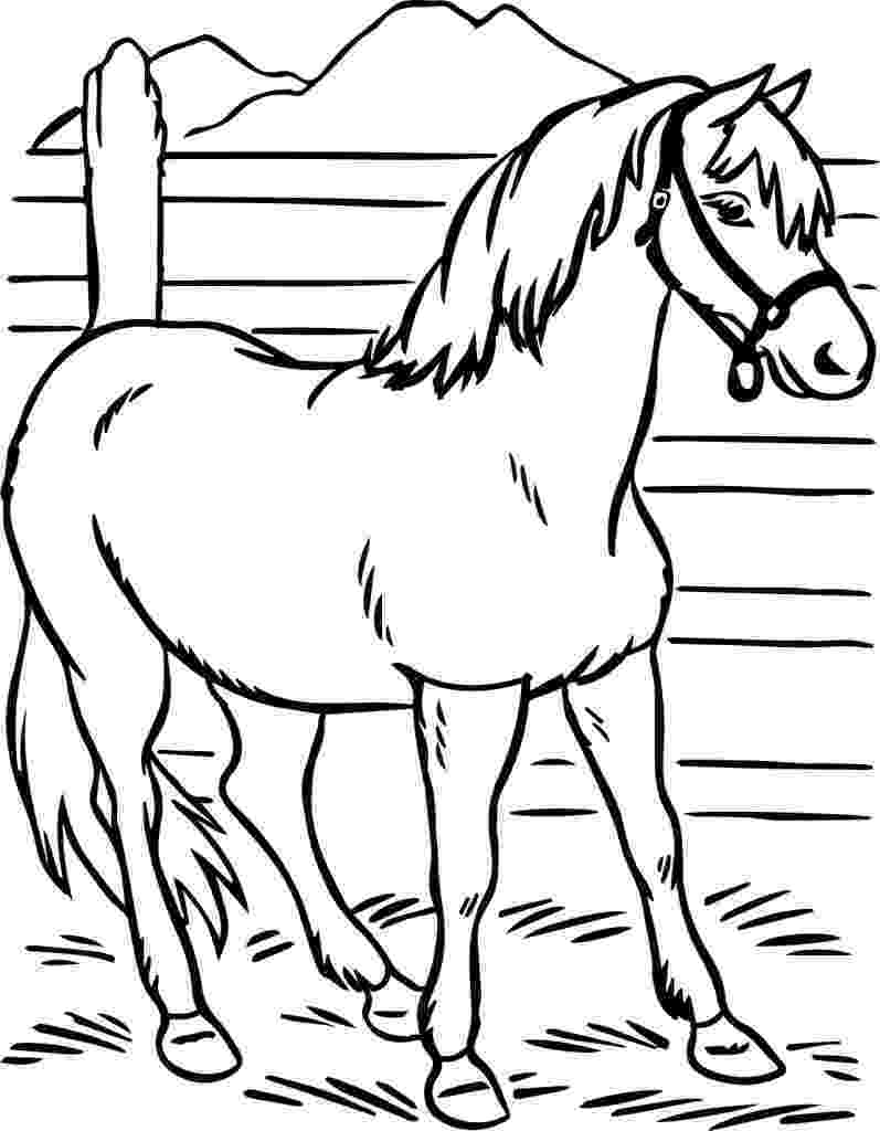 horses printable coloring pages palomino horse coloring pages download and print for free coloring pages printable horses 