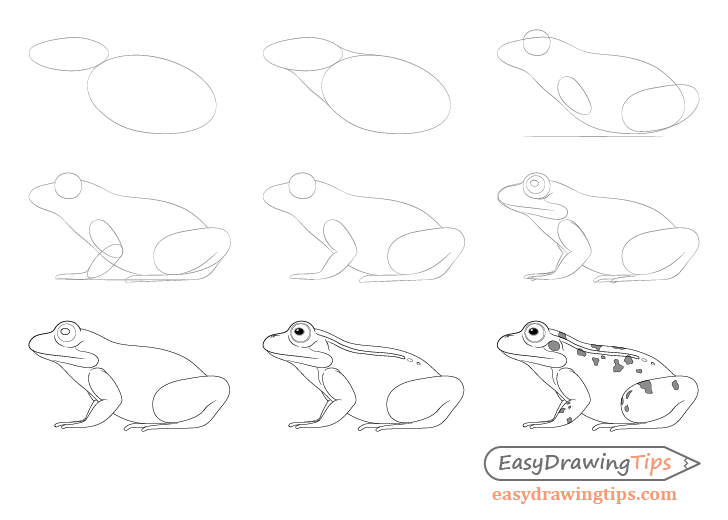 how to a frog how to draw a frog step by step tutorial easydrawingtips to a how frog 
