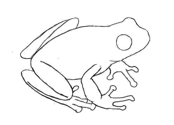 how to a frog storytime and more life cycles a frog how to 
