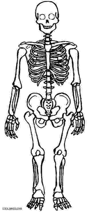 human skeleton coloring page free printable skeleton coloring pages for kids skeleton human coloring page 