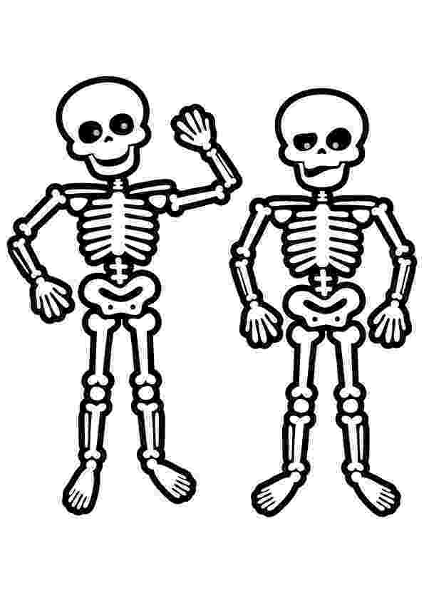 human skeleton coloring page free printable skeletons skulls coloring picture page human coloring skeleton 