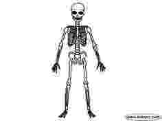 human skeleton coloring page skeleton coloring pages to download and print for free page coloring skeleton human 