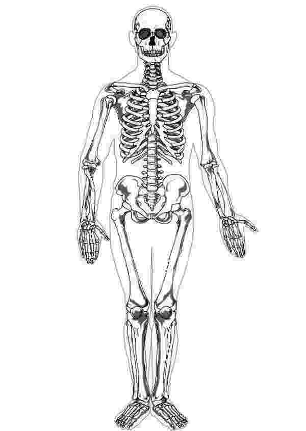 human skeleton coloring page spine coloring page c3 week 2 coloring pages color page skeleton human coloring 