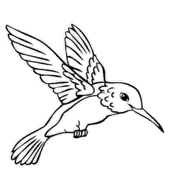 hummingbird colouring pages hummingbird printable coloring pages digital download of colouring pages hummingbird 