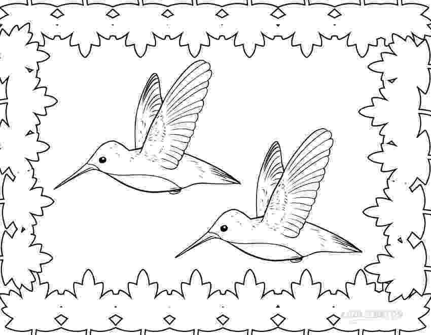 hummingbird colouring pages printable hummingbird coloring pages for kids cool2bkids colouring hummingbird pages 1 1