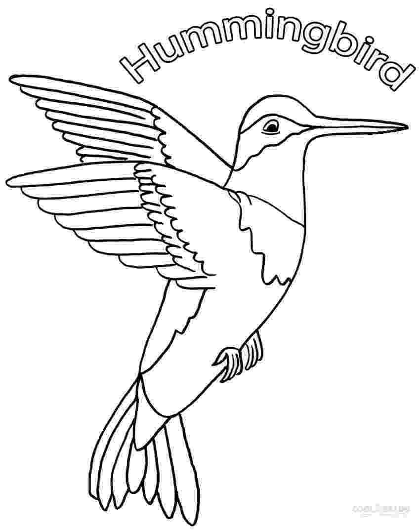 hummingbird colouring pages printable hummingbird coloring pages for kids cool2bkids pages hummingbird colouring 