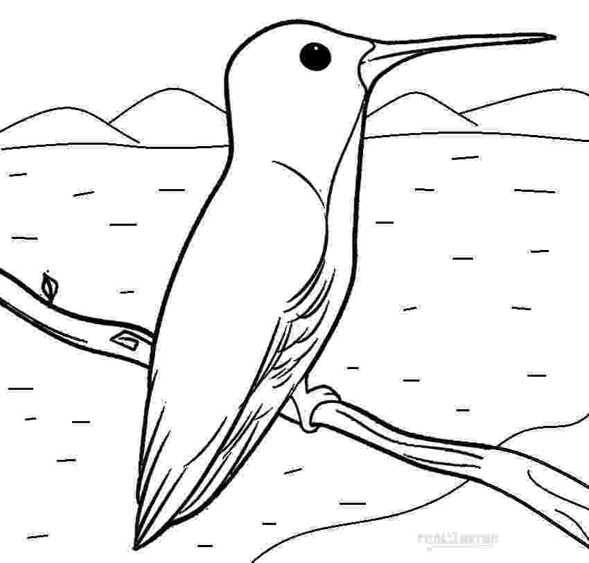 hummingbird colouring pages printable hummingbird coloring pages for kids cool2bkids pages hummingbird colouring 1 1