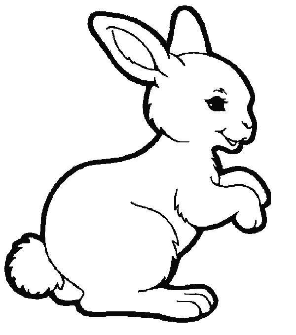 images of rabbits to color free printable rabbit coloring pages for kids color to images of rabbits 