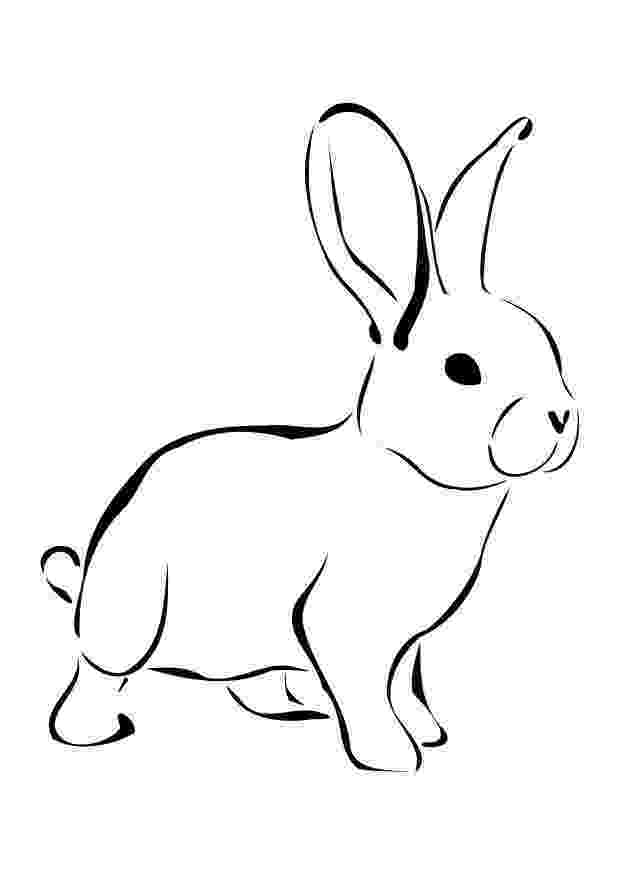 images of rabbits to color free rabbit coloring pages to images of color rabbits 