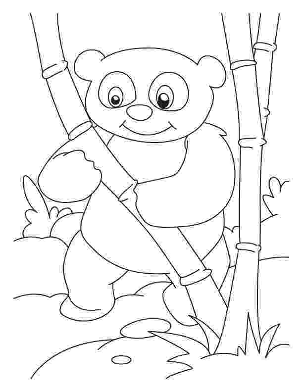 is for panda coloring pages panda coloring pages best coloring pages for kids panda for pages coloring is 