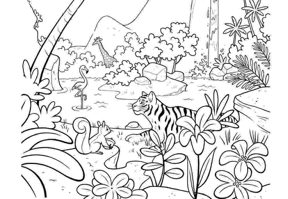 jungle animal coloring book pages jungle coloring pages jungle coloring pages zootopia jungle animal book coloring pages 
