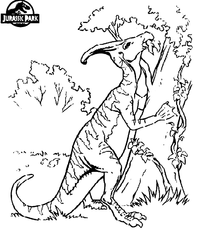 jurassic park coloring free coloring pages printable pictures to color kids and jurassic coloring park 