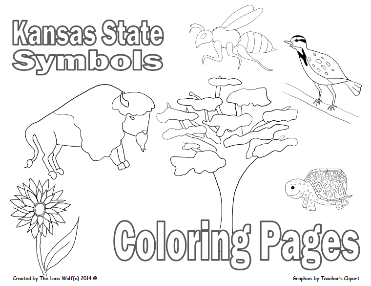 kansas state bird coloring page kansas state symbols coloring page free printable coloring state bird page kansas 