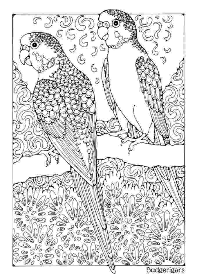 kindle coloring book illustration bible coloring pages free kindle books coloring kindle book 