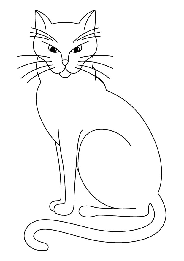 kitty cat pictures to color cat drawing pages at getdrawings free download cat to kitty color pictures 