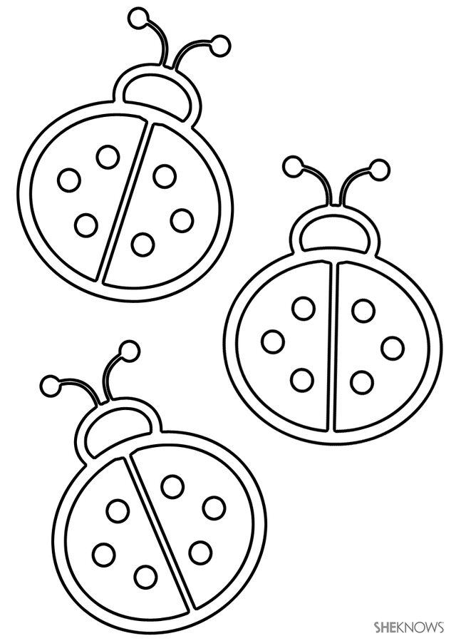 lady bug coloring page ladybug coloring pages getcoloringpagescom coloring bug lady page 