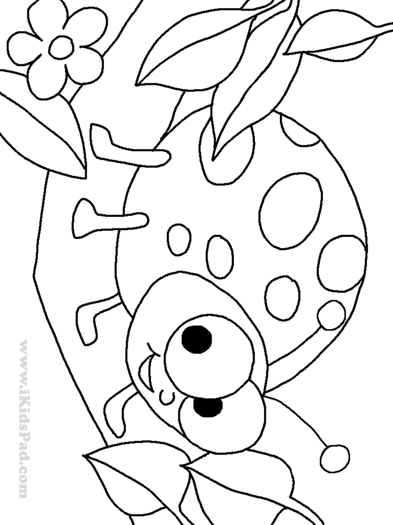 lady bug coloring page ladybug coloring pages getcoloringpagescom lady coloring bug page 