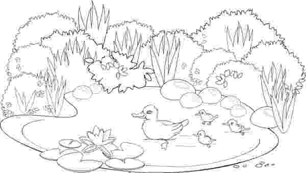 laguna para colorear 儿童画简笔画作品欣赏教你画美丽的小天鹅的简笔画图片 肉丁儿童网 colorear para laguna 