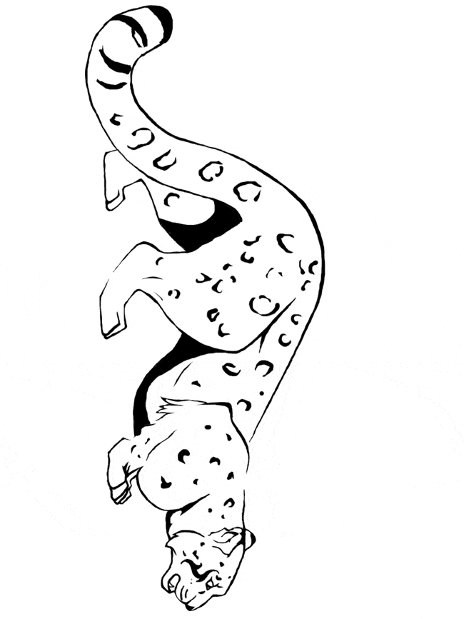 leopard pictures to color free leopard coloring pages color leopard to pictures 