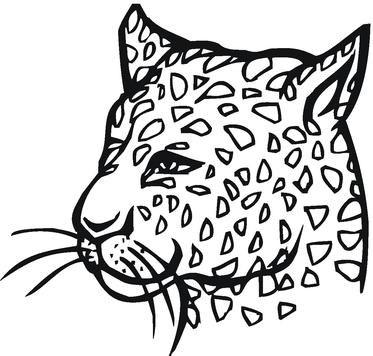 leopard pictures to color free leopard coloring pages pictures color leopard to 