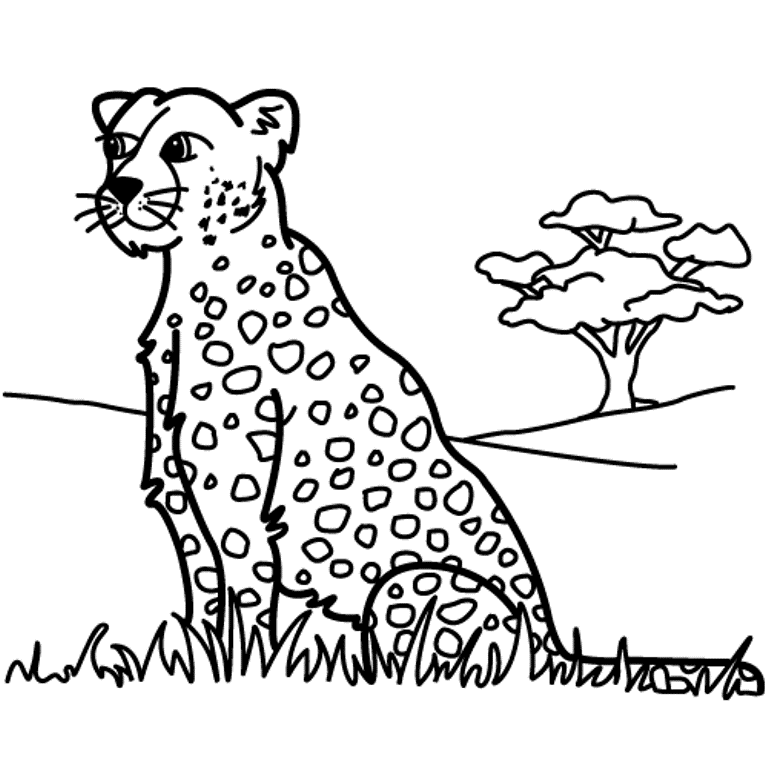 leopard pictures to color leopard coloring pages to download and print for free to leopard color pictures 