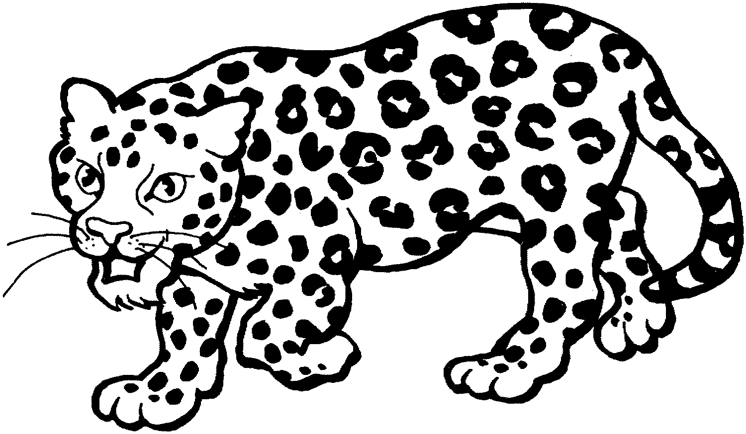 leopard pictures to color snow leopard coloring page art starts for kids pictures color to leopard 