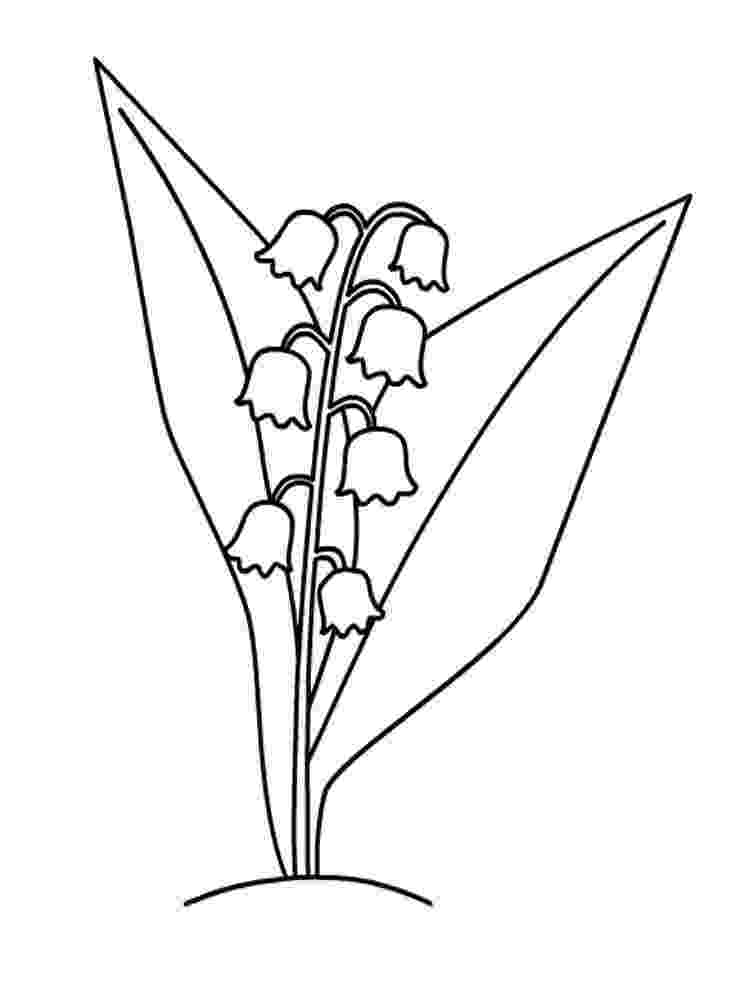 lily of the valley coloring page flowers coloring pages page the lily coloring of valley 