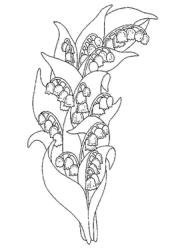 lily of the valley coloring page girl collecting lily of the valley coloring pages coloring lily valley of the page 