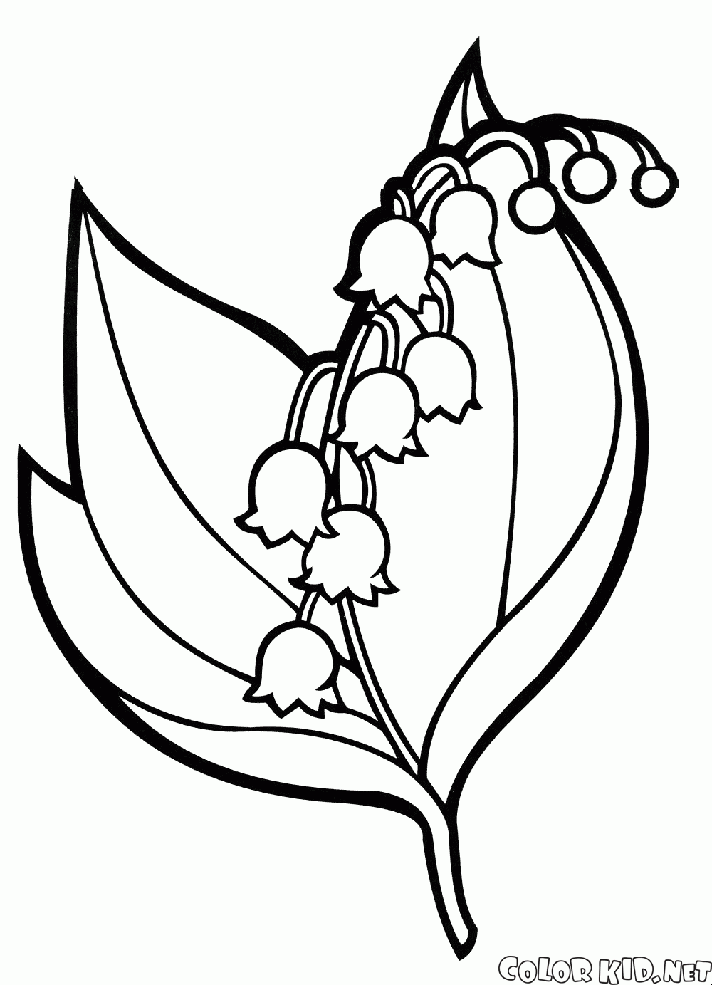 lily of the valley coloring page lily of the valley 4 coloring online super coloring coloring valley lily of page the 