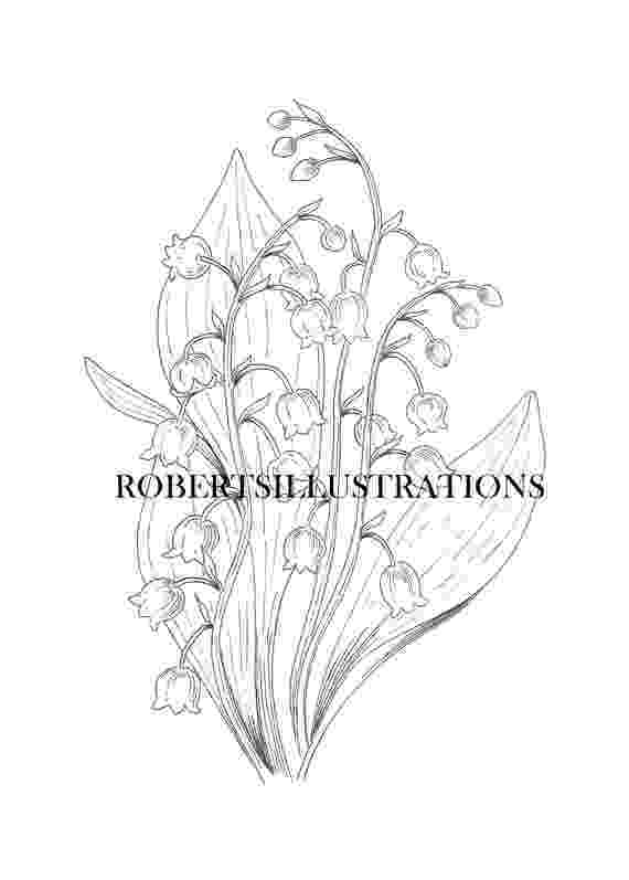 lily of the valley coloring page lily of the valley bunch coloring pages hellokidscom page valley lily the coloring of 