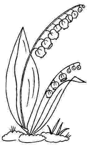 lily of the valley coloring page lily of the valley coloring pages download and print lily page valley lily of the coloring 