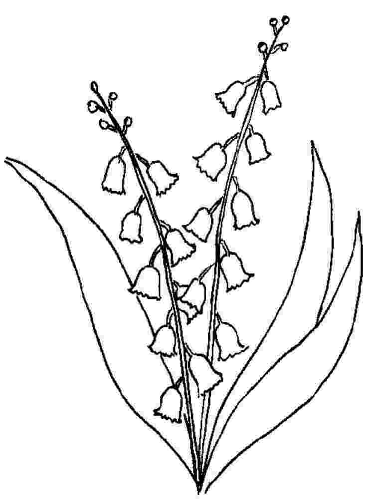 lily of the valley coloring page lily of the valley coloring pages download and print lily page valley the coloring of lily 