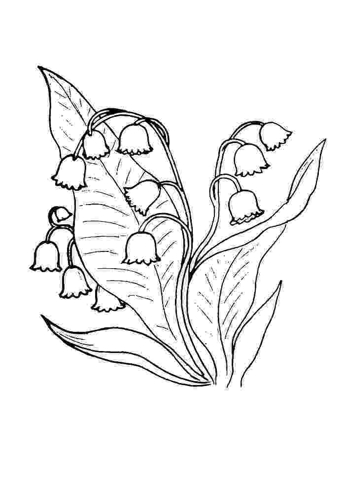 lily of the valley coloring page lily of the valley coloring pages download and print lily the page valley of coloring lily 