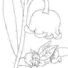 lily of the valley coloring page lily of the valley coloring pages download and print lily valley of the page lily coloring 