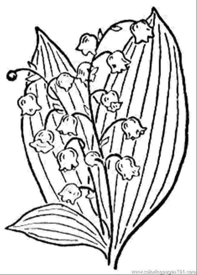 lily of the valley coloring page lily of the valley coloring pages to download and print of coloring page the lily valley 