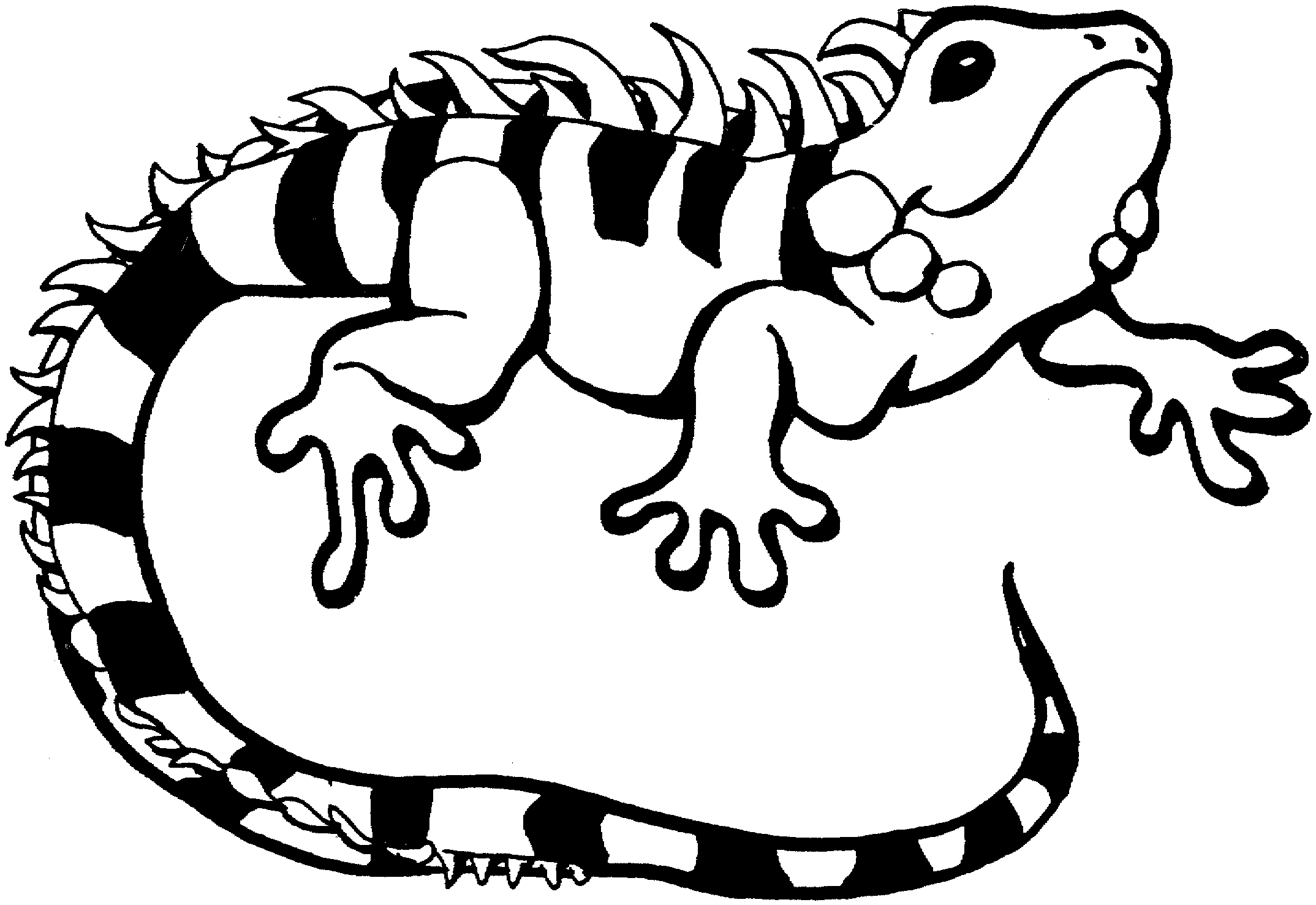 lizard pictures to color free printable lizard coloring pages for kids lizard to pictures color 