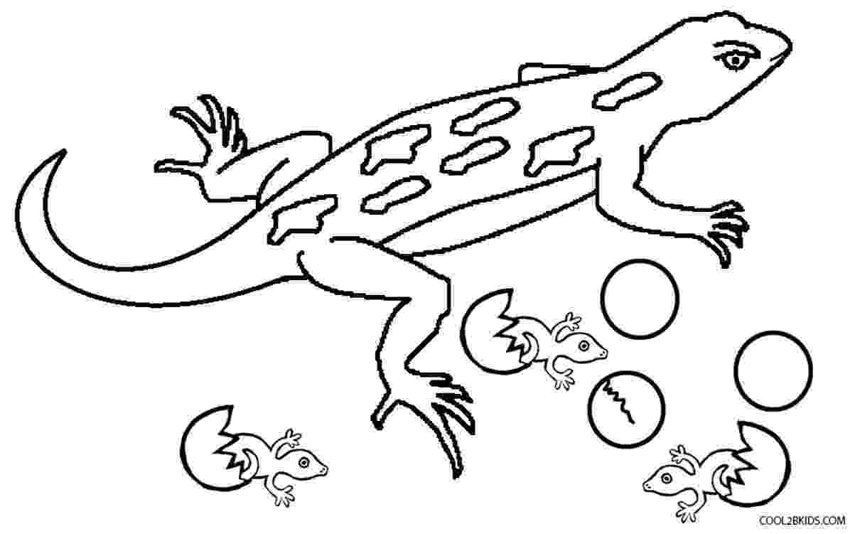lizard pictures to color lizard coloring pages to download and print for free color to lizard pictures 