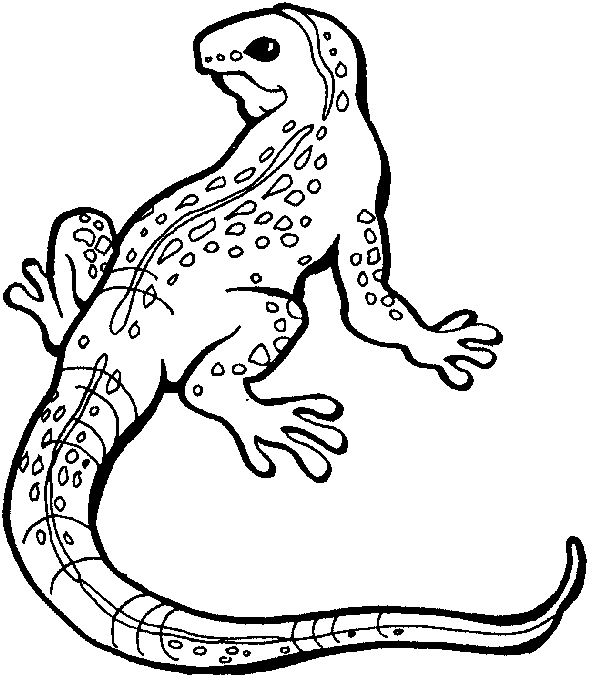 lizard pictures to color printable lizard coloring pages for kids cool2bkids to lizard color pictures 