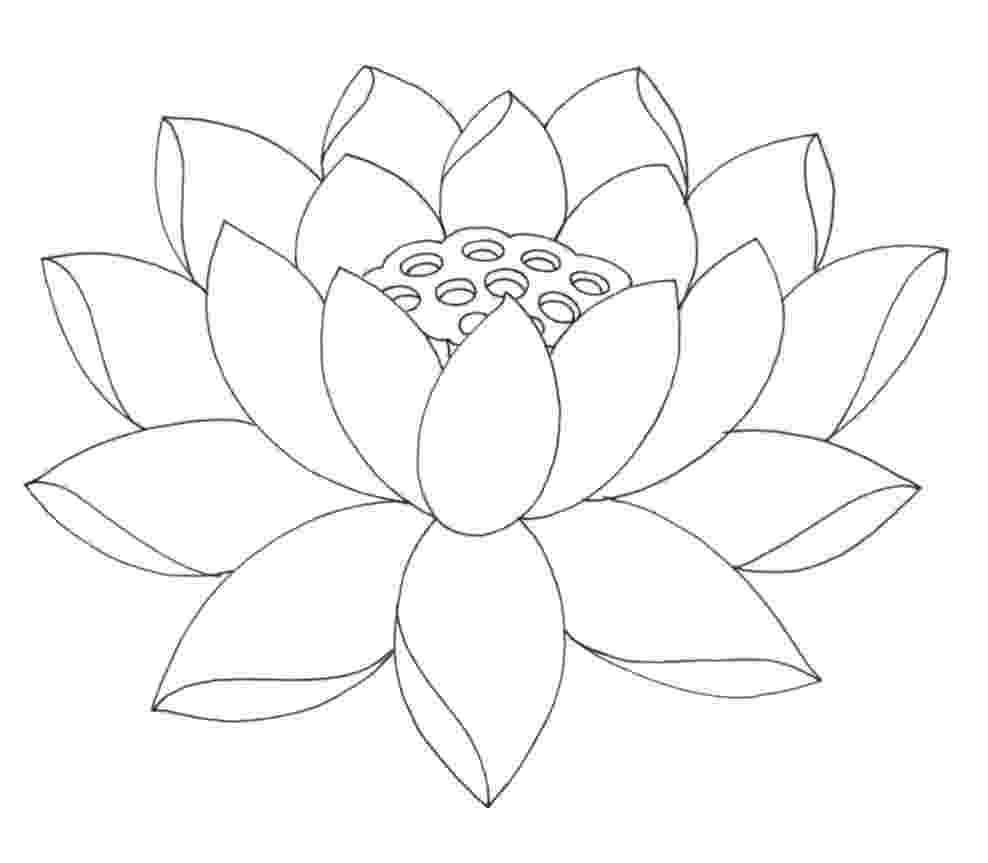 lotus flower coloring pages free printable lotus coloring pages for kids flower coloring pages lotus 