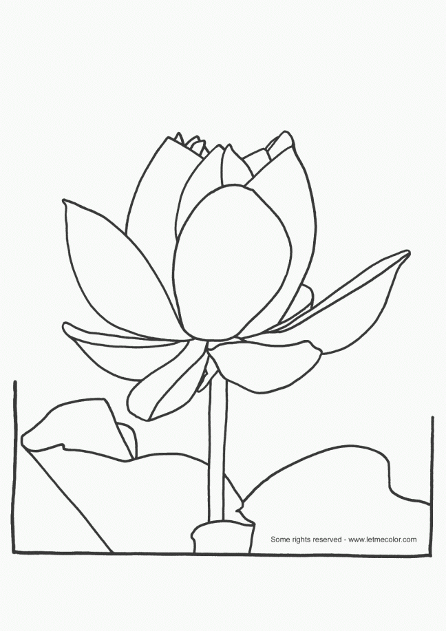 lotus flower coloring pages lotus flower coloring pages coloring home flower coloring pages lotus 