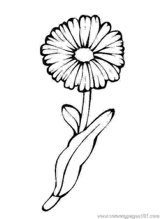 marigold coloring page marigold flower coloring pages download and print page marigold coloring 1 1