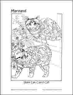 maryland flag coloring page md flag coloring sheet for kindergarten united states maryland coloring flag page 