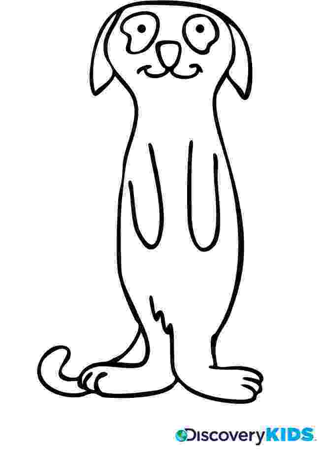 meerkat pictures to colour free printable meerkat coloring pages meerkat coloring colour to meerkat pictures 