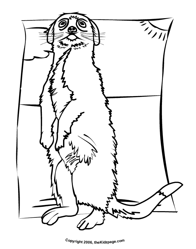 meerkat pictures to colour meerkat free coloring pages for kids printable colouring colour to pictures meerkat 