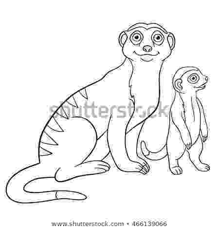 meerkat pictures to colour meerkat mother babies stock images royalty free images to meerkat colour pictures 