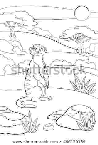 meerkat pictures to colour royalty free cartoon happy meerkat clip art vector images colour pictures meerkat to 