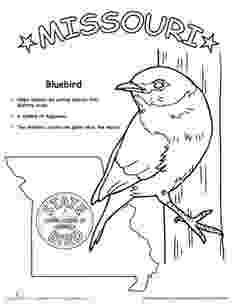 missouri state bird blue bird coloring page bird missouri state 