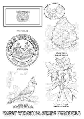 missouri state bird quail coloring pages for preschool preschool and state missouri bird 