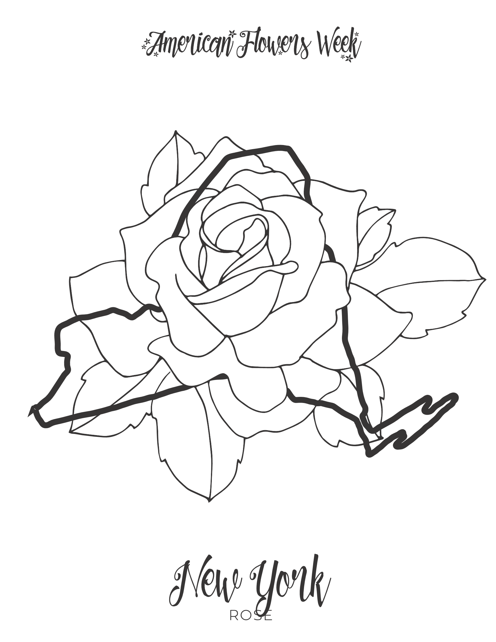 missouri state flower 50 state flowers coloring pages for kids state flower missouri 