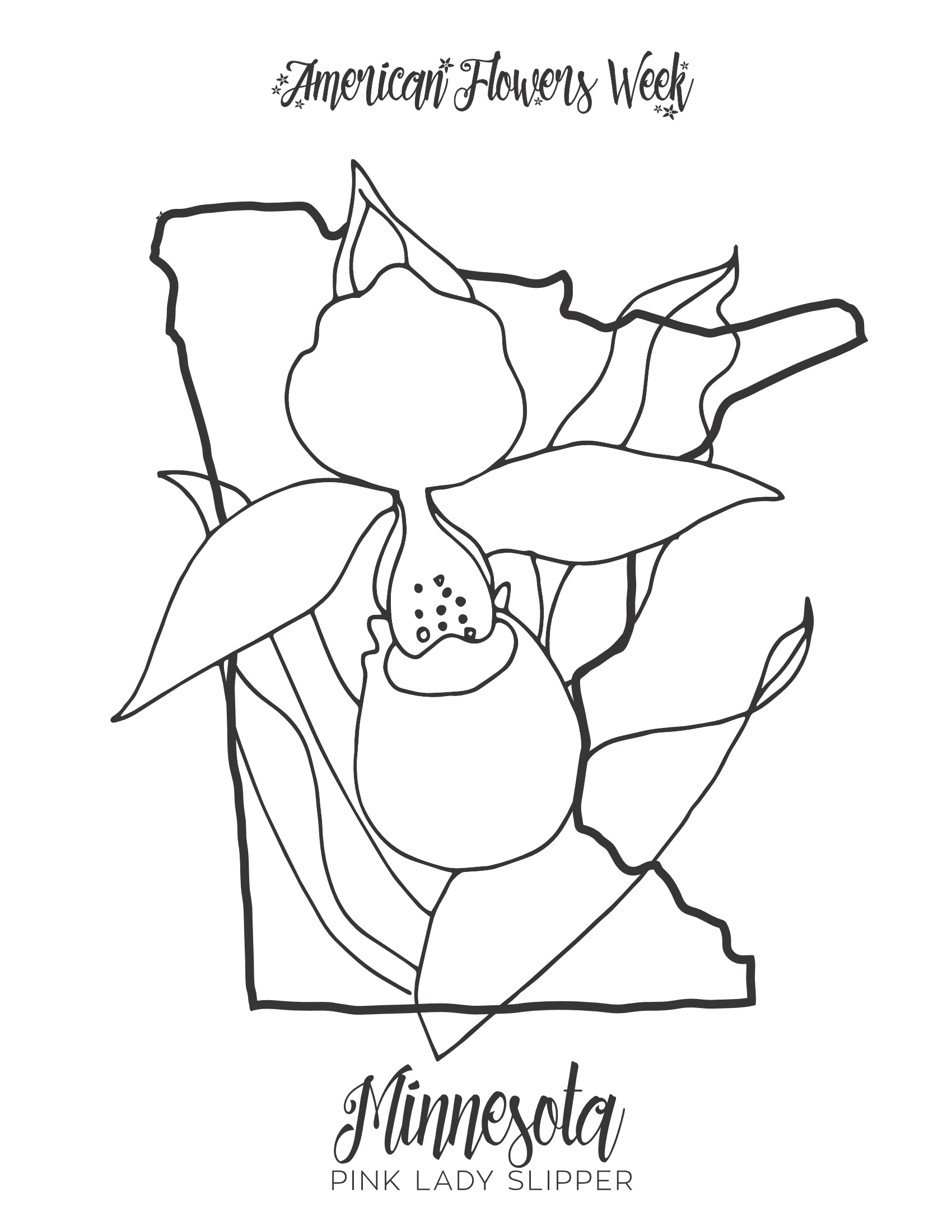 missouri state flower 50 state flowers free coloring pages american flowers week missouri flower state 